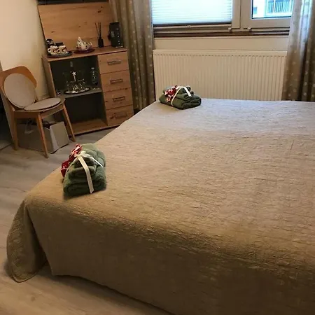 Pension Ringo, Bahnhof Und Airport In Der Naehe, Monteur Und Handwerker Wohnung Baden-Baden