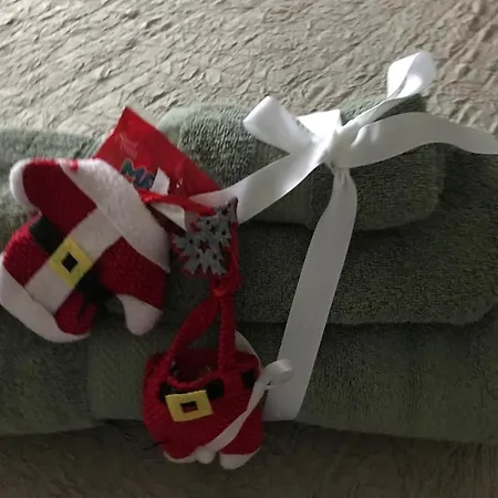 Ringo, Airport Pit Stop, Bahnhof Und Flughafen In Der Naehe Apartamento Baden-Baden