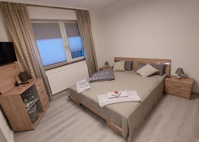 Ringo, Airport Pit Stop, Bahnhof Und Flughafen In Der Naehe Baden-Baden