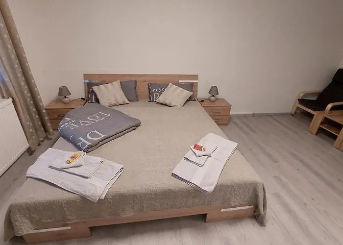 Ringo, Airport Pit Stop, Bahnhof Und Flughafen In Der Naehe * Baden-Baden