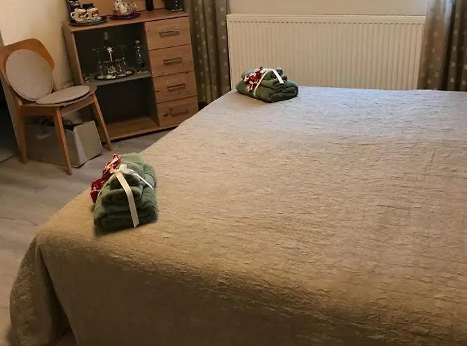 Ringo, Airport Pit Stop, Bahnhof Und Flughafen In Der Naehe Baden-Baden