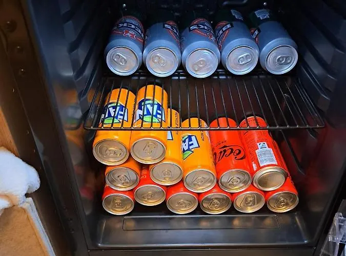 Ringo, Airport Pit Stop, Bahnhof Und Flughafen In Der Naehe Baden-Baden