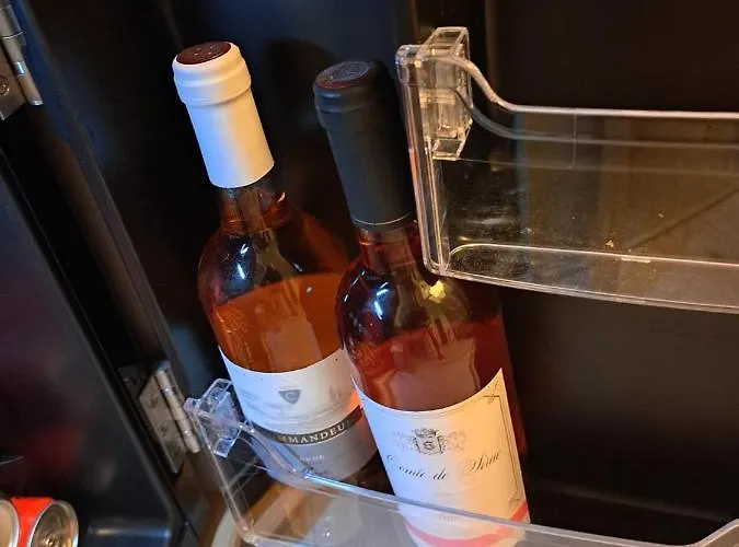 Ringo, Airport Pit Stop, Bahnhof Und Flughafen In Der Naehe Apartament Baden-Baden